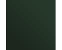 RAL 6020 