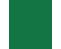 RAL 6029 