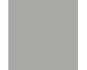 RAL 7004 
