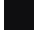 RAL 9005 