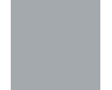 RAL 9006 