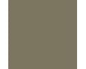 RAL 1035 