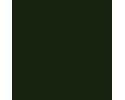 RAL 6007 