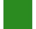 RAL 6018 
