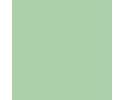 RAL 6019 