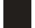 RAL 8019 