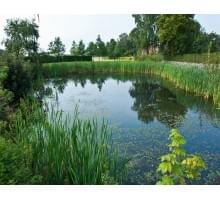 Панорамы. Деревенский пруд (РAN 0037) Панорамы. Деревенский пруд (РAN 0037)