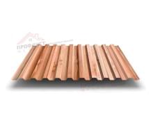 Профнастил C21-1000-0.35 ECOSTEEL_T Кедр