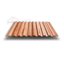 Профнастил C21-1000-0.5 ECOSTEEL_T Кедр